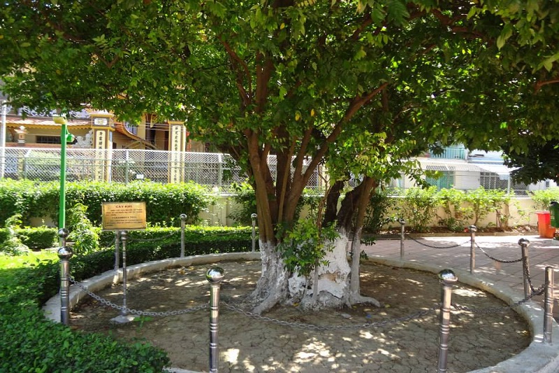 Ảnh slide minh họa 2